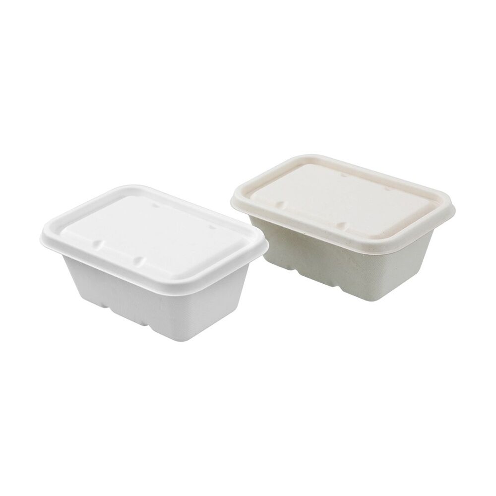 Lemon and Lime 6pc Lemon And Lime Eco Sugarcane Food Container Set 1L Capacity Assorted (24 Pack) — image 3