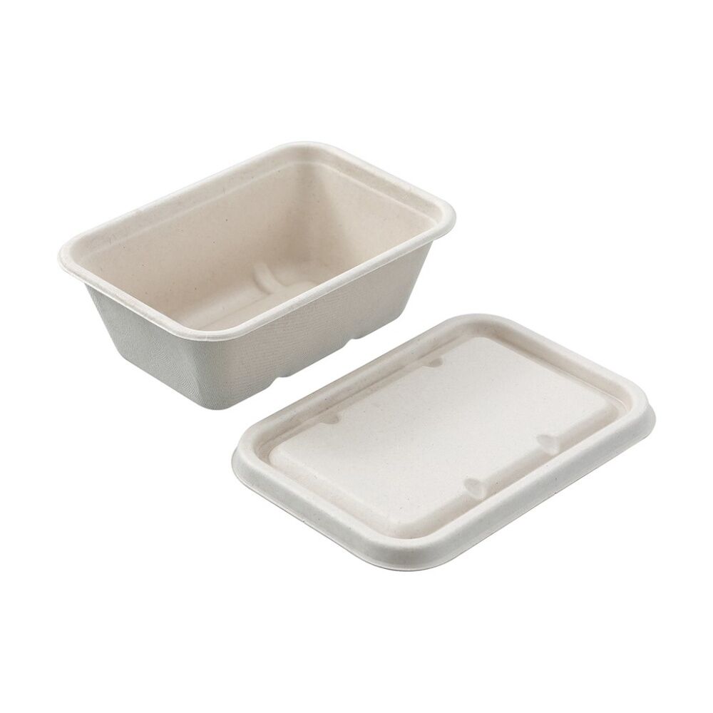 Lemon and Lime 6x 20pc Eco Sugarcane Food Container Set 750ml — image 5