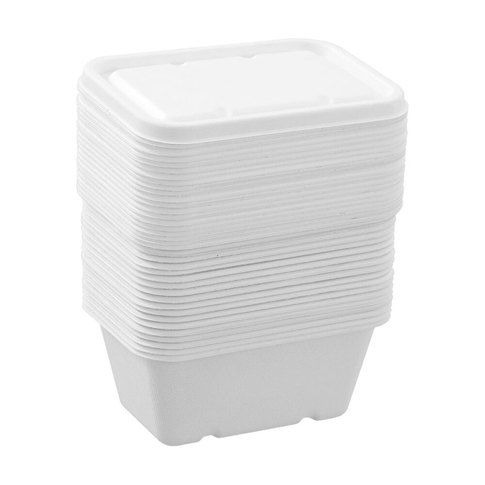 Lemon and Lime Eco Sugarcane Food Container Set 1L Capacity Assorted (20 Pieces) — image 5