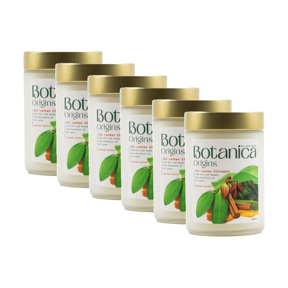 Air Wick Botanica Origins Candle Sri Lankan Cinnamon Scented (6 Pack)