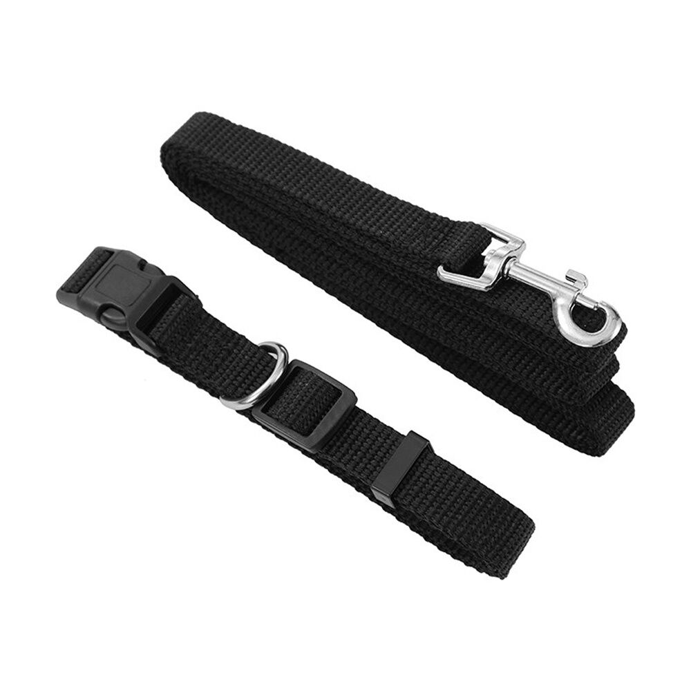 Paws and Claws Essentials Dog Collar & Lead Set Medium 30-50cm 120x1.5cm Asstd (3 Pack) — image 6