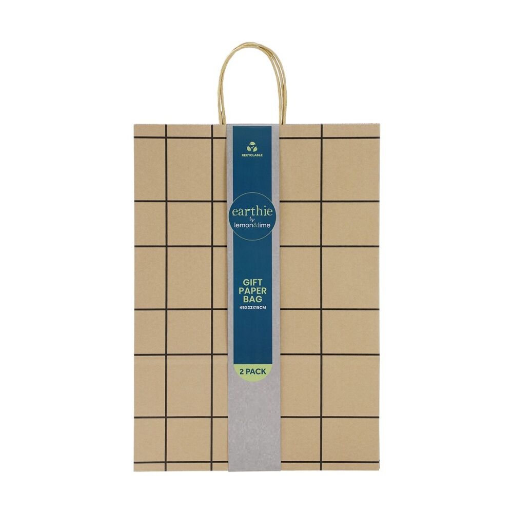 Lemon and Lime 2pc Lemon And Lime Patterned Paper Gift Bag Set 45x32x15cm Assorted (24 Pack) — image 4