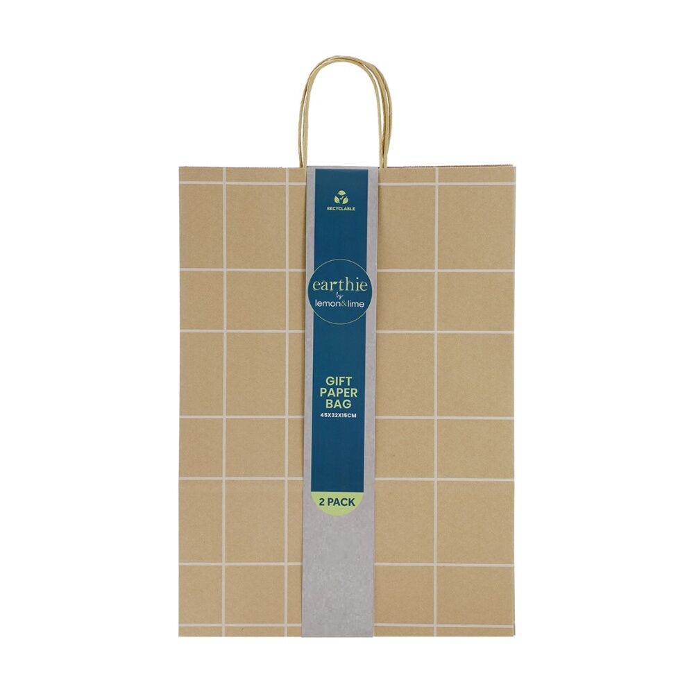 Lemon and Lime Patterned Paper Gift Bag Set 45x32x15cm Assorted (2 Pieces)