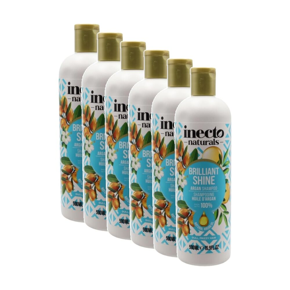 Inecto Naturals Brilliant Shine Argan Oil Shampoo For Dull/Frizzy Hair 500mL (6 Pack)