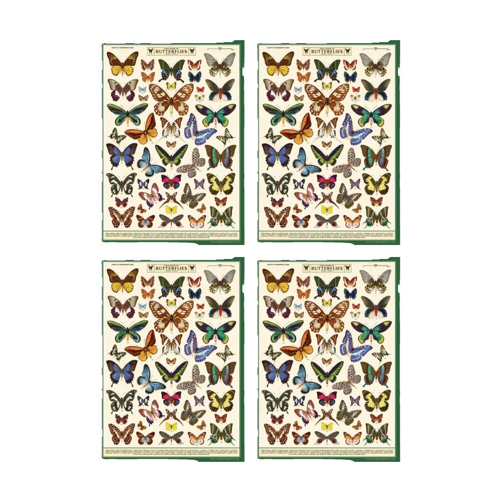 Cavallini Poster Gift Wrap Paper Vintage Art Field Guide to Butterflies (4 Pack)