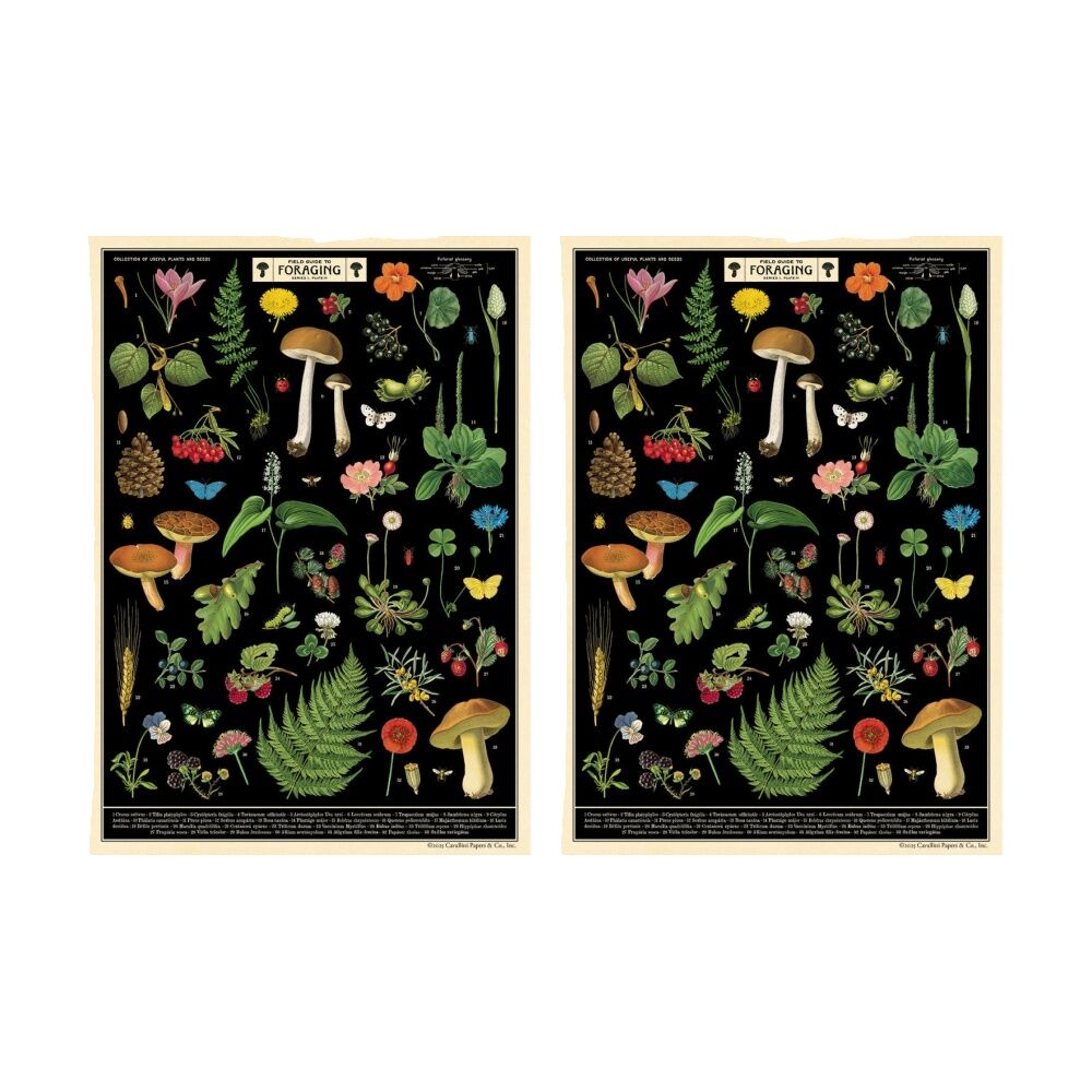 Cavallini Poster Gift Wrap Paper Vintage Art Field Guide to Foraging (2 Pack)