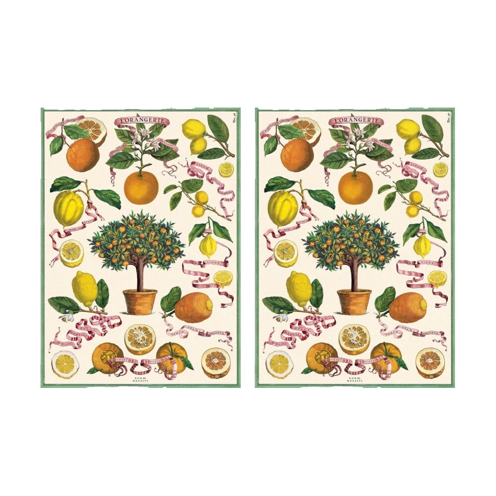 Cavallini Poster Gift Wrap L'Orangerie Vintage Botanical Design 50x70cm (2 Pack)