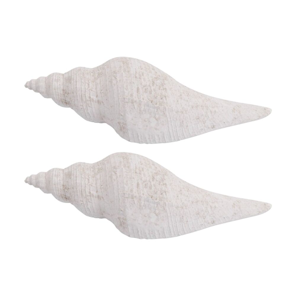 LVD Conch Shell Washed Resin Sea Statue Indoor/Outdoor Decor 27.5x9x8cm (2 Pack)