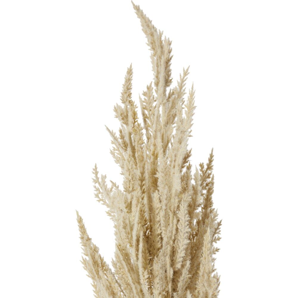 E Style Pampas Grass Stem Realistic Artificial Flower Plastic Beige 94cm E Style — image 2