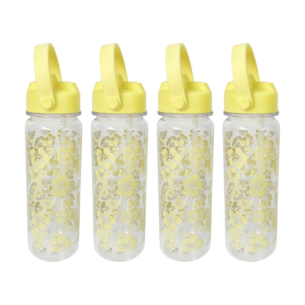 Braz Printed Drinking Water Bottle w/ Screw Lid 700ml Assorted (4 Pack)