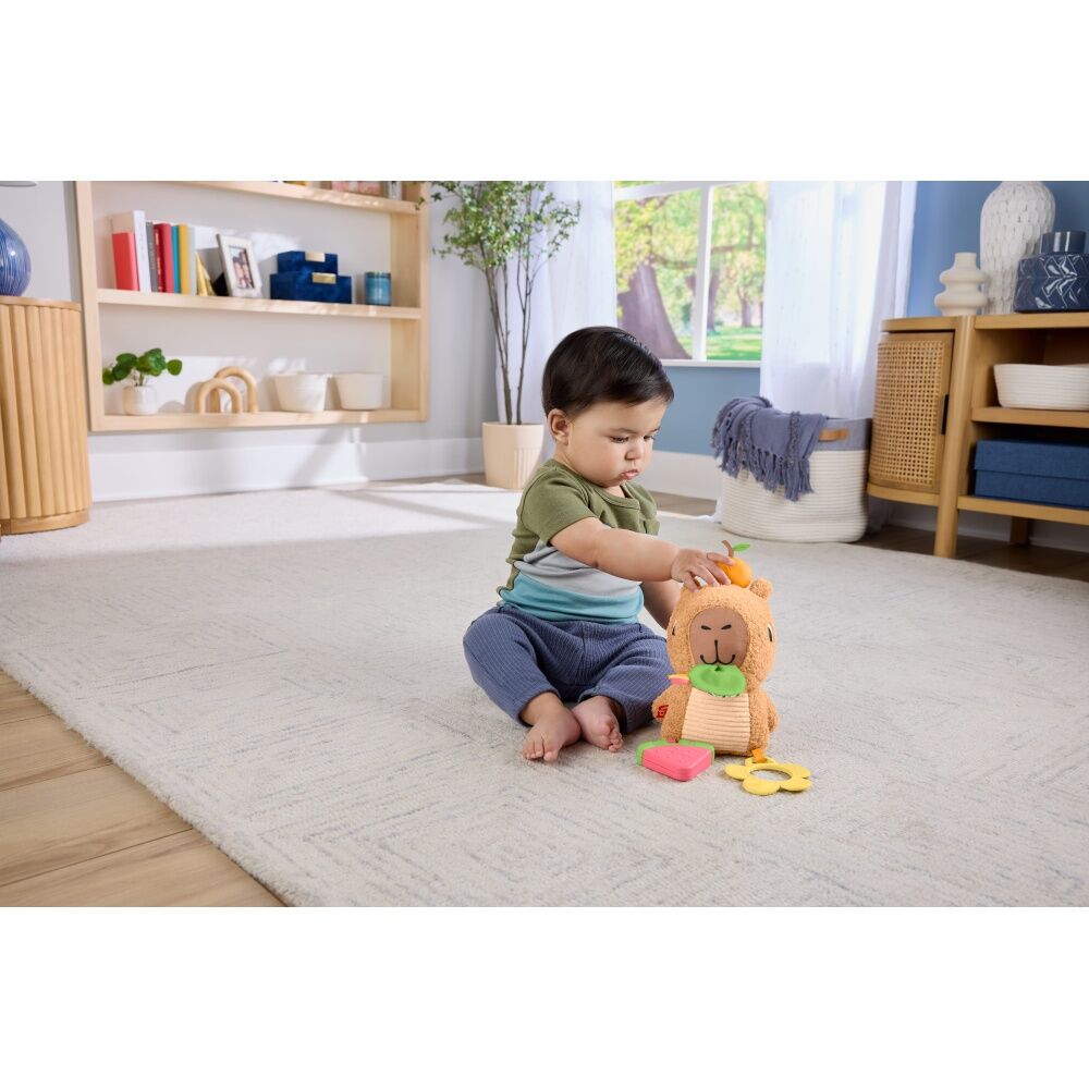 Fisher Price Sensimals Snuggly Snacky Capybara Baby Plush Toy Teether — image 8
