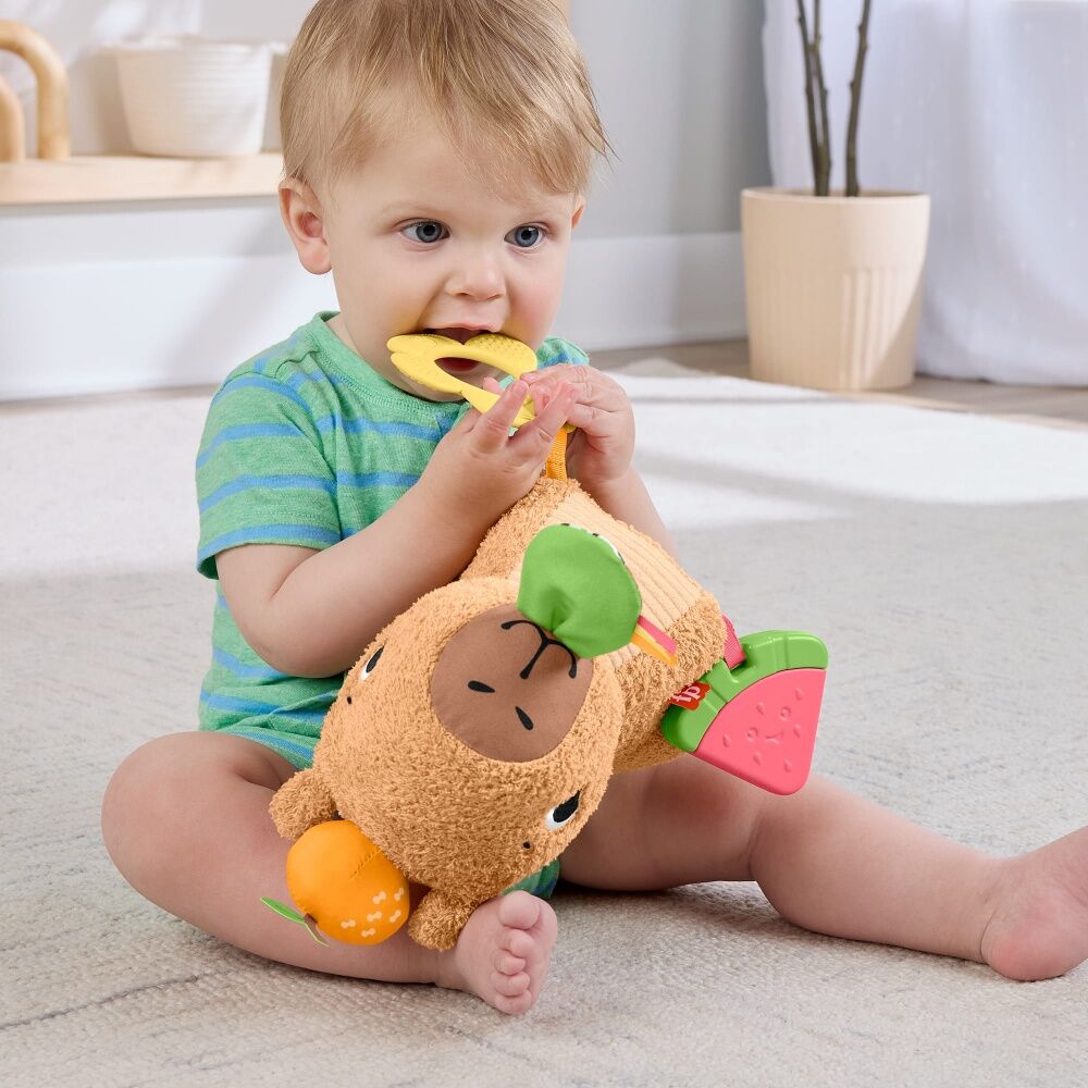 Fisher Price Sensimals Snuggly Snacky Capybara Baby Plush Toy Teether — image 3