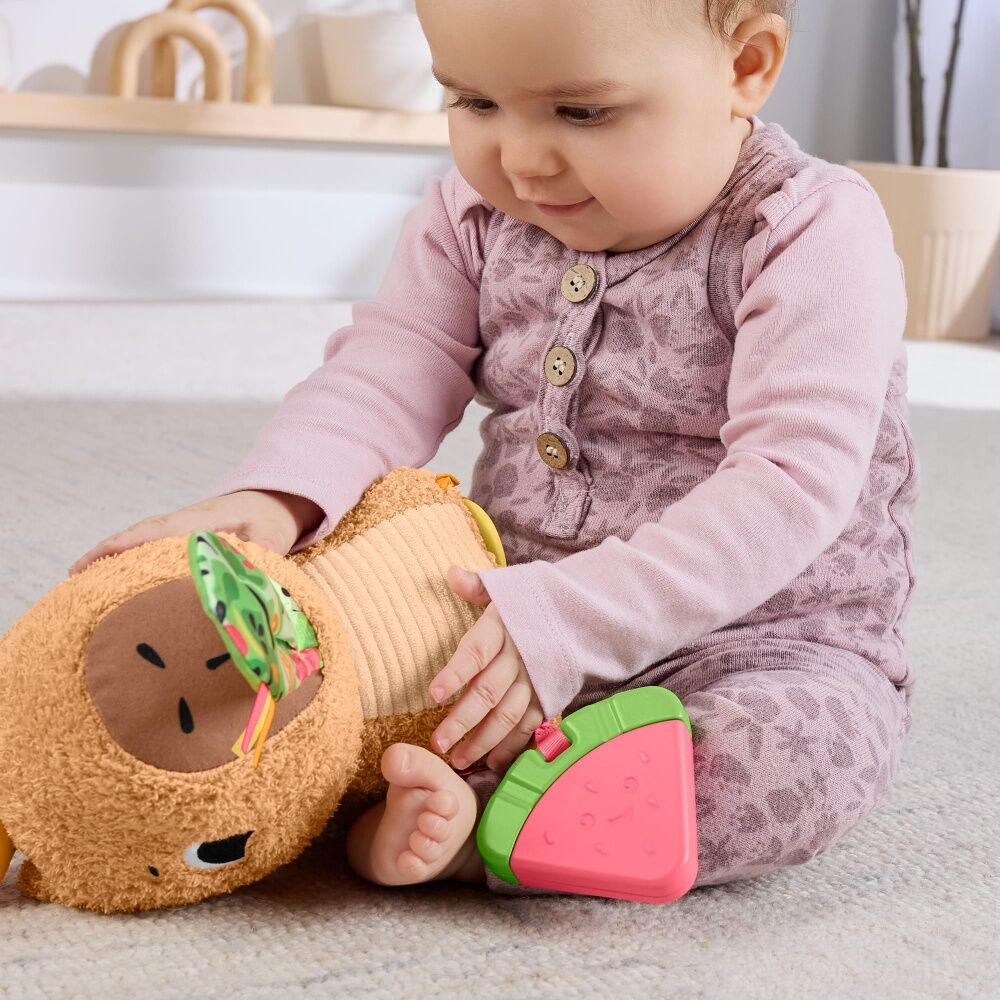 Fisher Price Sensimals Snuggly Snacky Capybara Baby Plush Toy Teether — image 5
