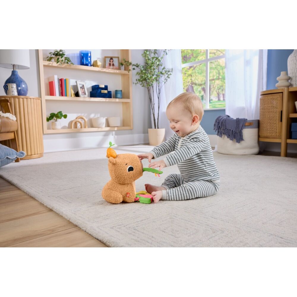 Fisher Price Sensimals Snuggly Snacky Capybara Baby Plush Toy Teether — image 9