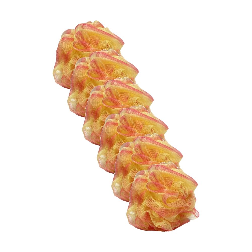 Braz Luxury Mesh Exfoliating Bath & Shower Sponge Loofah Assorted (6 Pack)