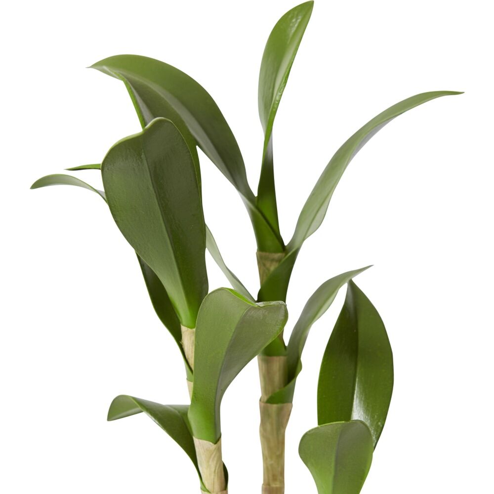 E Style Orchid Dendrobium Foliage - Realistic Green Artificial Plant - Indoor Use - 26L x 11W x 46H cm - Plastic Fabric Wire - Fully Assembled Green — image 2