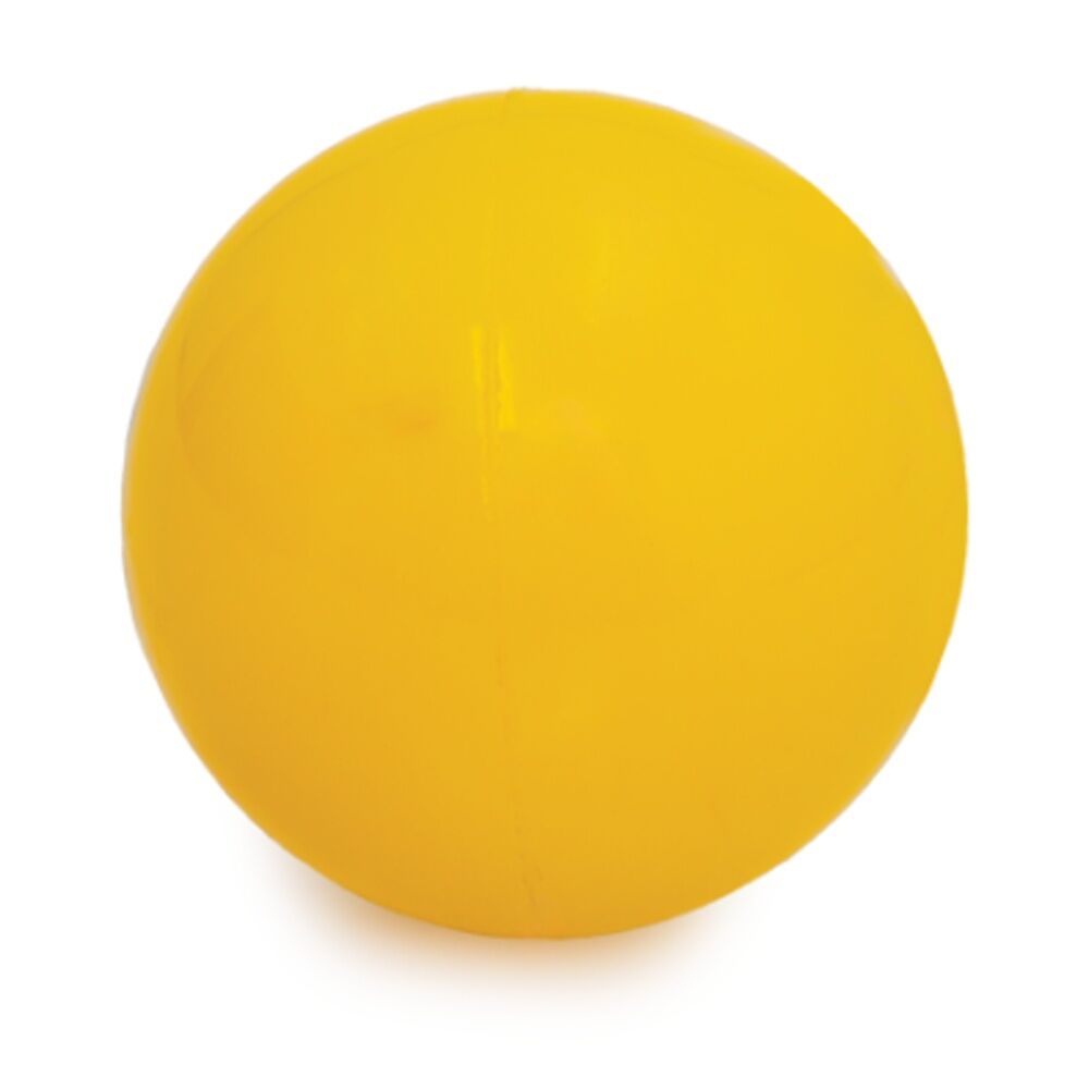 Victor Sports Hockey Ball Seamless PVC Smooth Textured Outdoor Use
