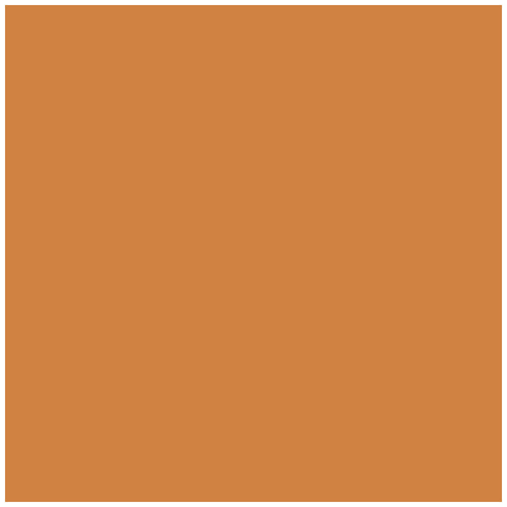 BYS 30ml All Day Wear SPF20 Liquid Foundation Makeup Buildable Coverage Warm Tan — image 2
