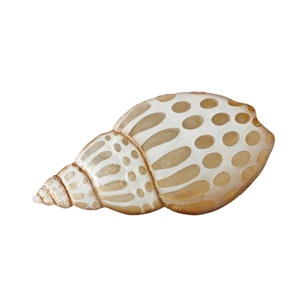 Darlin Beige Babylonia Shell Wall Art V2 Hanging Home Decor Capiz/Metal 36x20cm