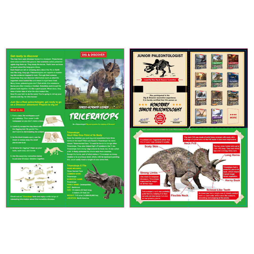 Kaper Kidz Dig Discover Triceratops Dig Excavation Kits Educatioonal Toy — image 4