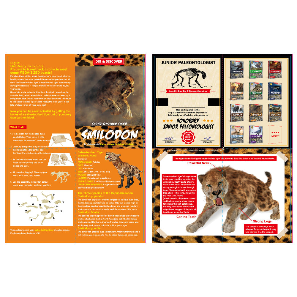 Kaper Kidz Dig Discover Sabertooth Tiger Dig Kits Educational Toy — image 4