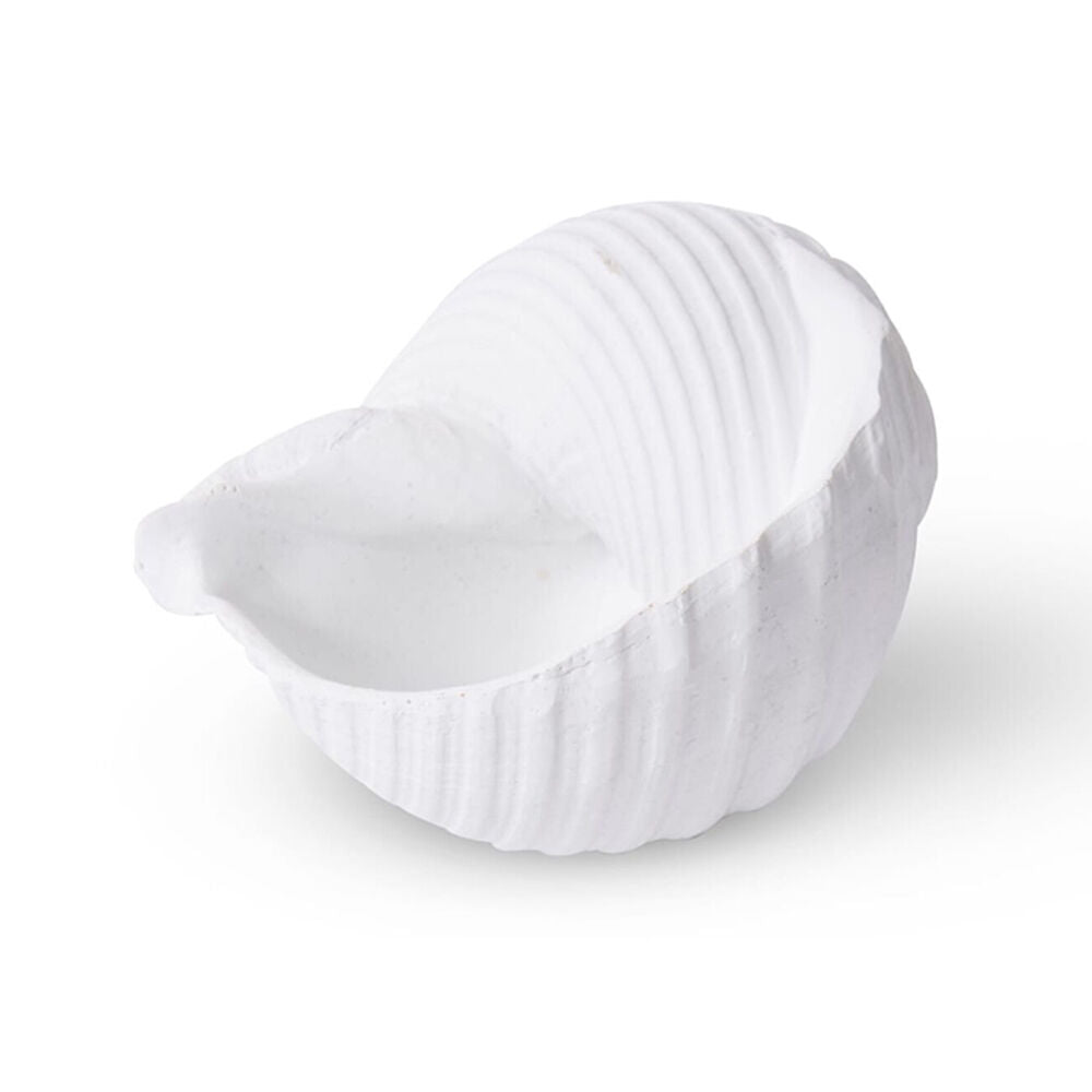 E Style Shell Moon Snail Sculpture Ornament Tabletop Home Decor 11cm White — image 2