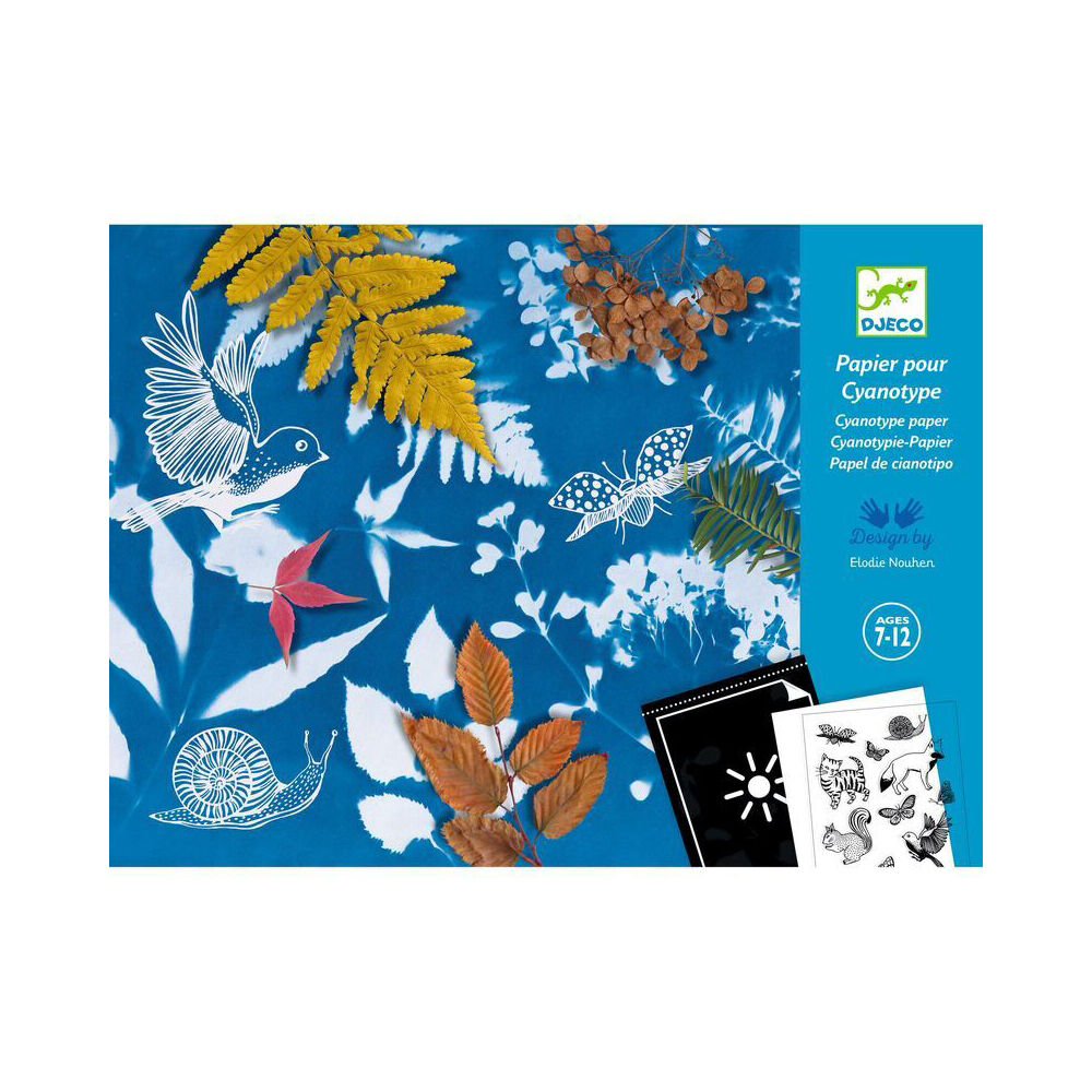 Djeco Cyanotype Starter Kit Kids/Children Creative Craft/Art Activity Kit 7y+ — image 4