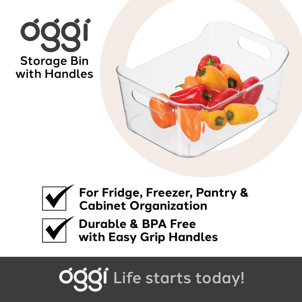 Oggi 24cm Storage Bin Home/Kitchen Food/Snack Pantry Organiser w/ Handles Clear — image 3