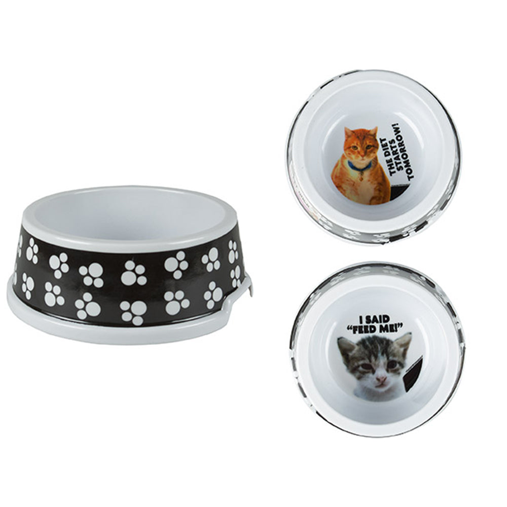 Dudley's World of Pets Comical Cat Pet Feeding Food Water Bowl Assorted — image 2