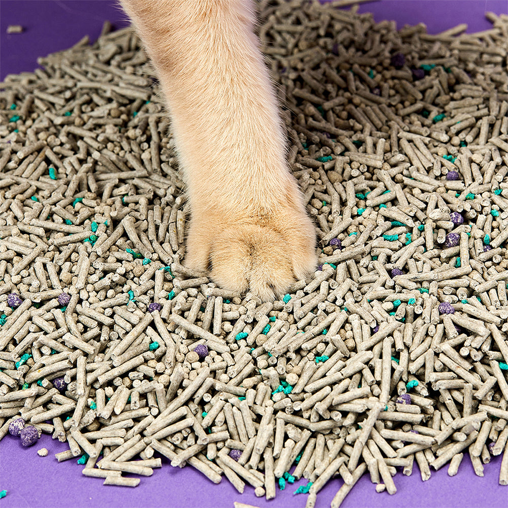 Petkit 5in1 Active Carbon 7L Mixed Tofu Cat Litter Flushable Absorbent Clumping — image 2