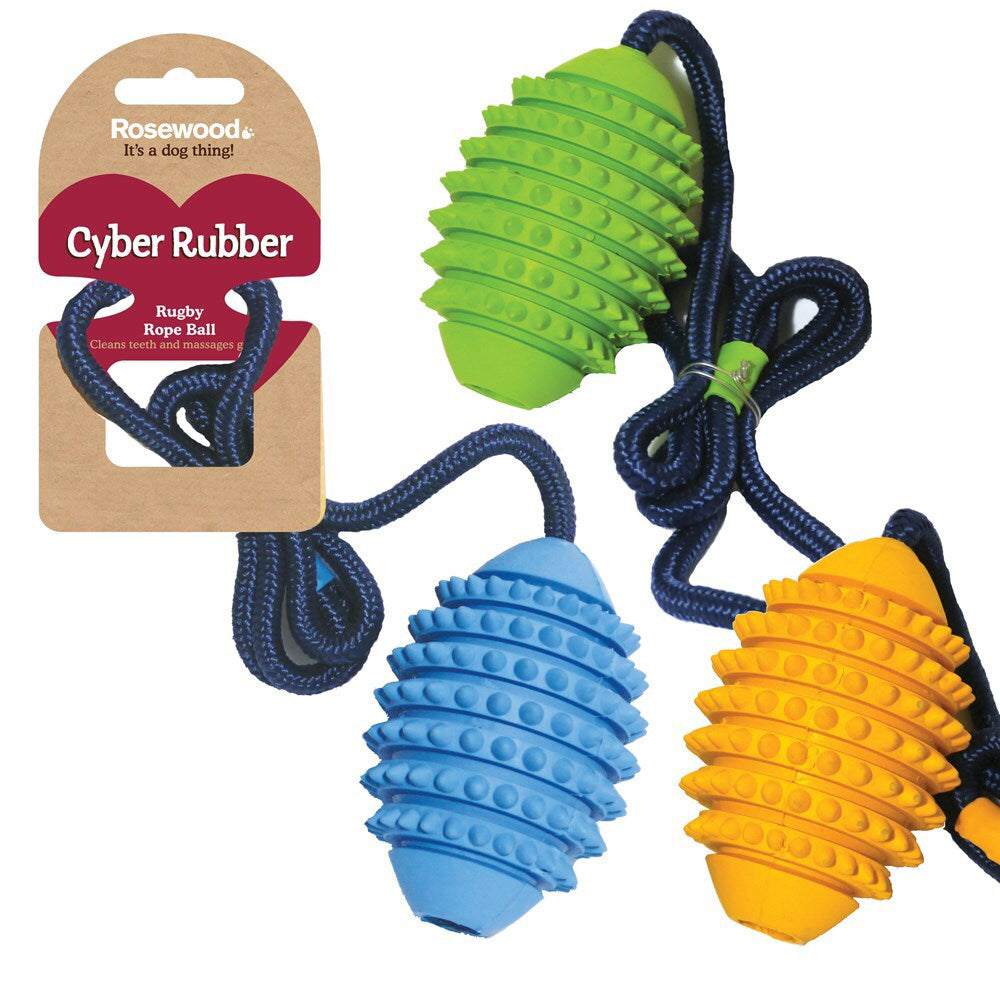Rosewood Assorted 70cm Rugby Ball/Rope Pet Dog Training Non-Toxic Toy Medium — image 2