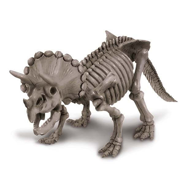 4M KidzLabs Dig a Dinosaur Triceratops Assemble Skeleton Kids Learning Toy 8y+ — image 3