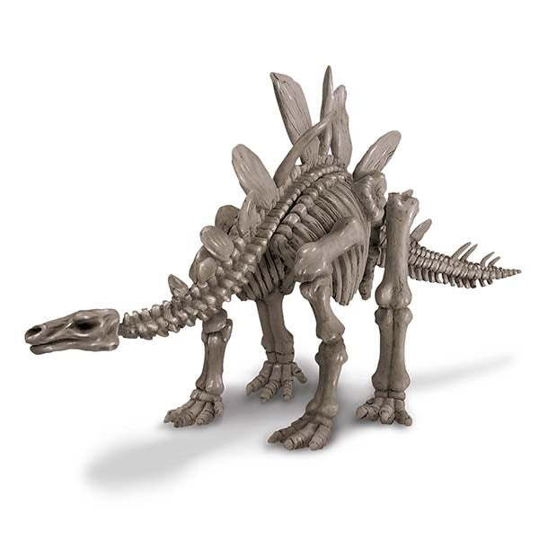 4M KidzLabs Dig a Dinosaur Stegosaurus Hidden Skeleton Kids Learning Toy 8y+ — image 3
