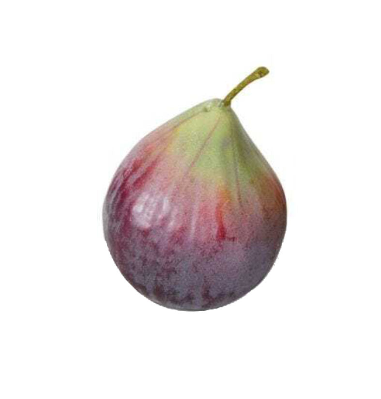 E Style 7cm Plastic Fig Fruit Ornament Tabletop Decor Display Green Purple