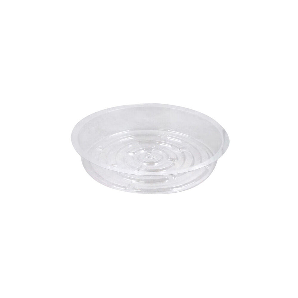 Antheia Green Homewares PET Plant Pot Tray Durable Saucer 20cm Clear (4 Pieces) — image 2