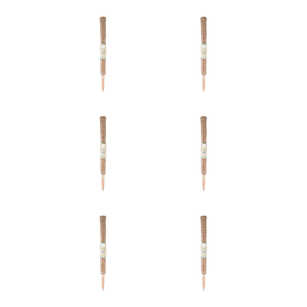 Antheia Green Homewares Coco Fibre Plant Pole 60cm (6 Pack)