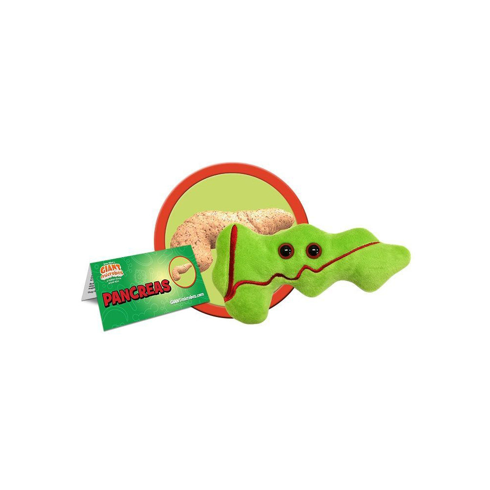 Giant Microbes Pancreas Organ Human Biology Soft Plush Cuddle Stuffed Toy Green — image 3