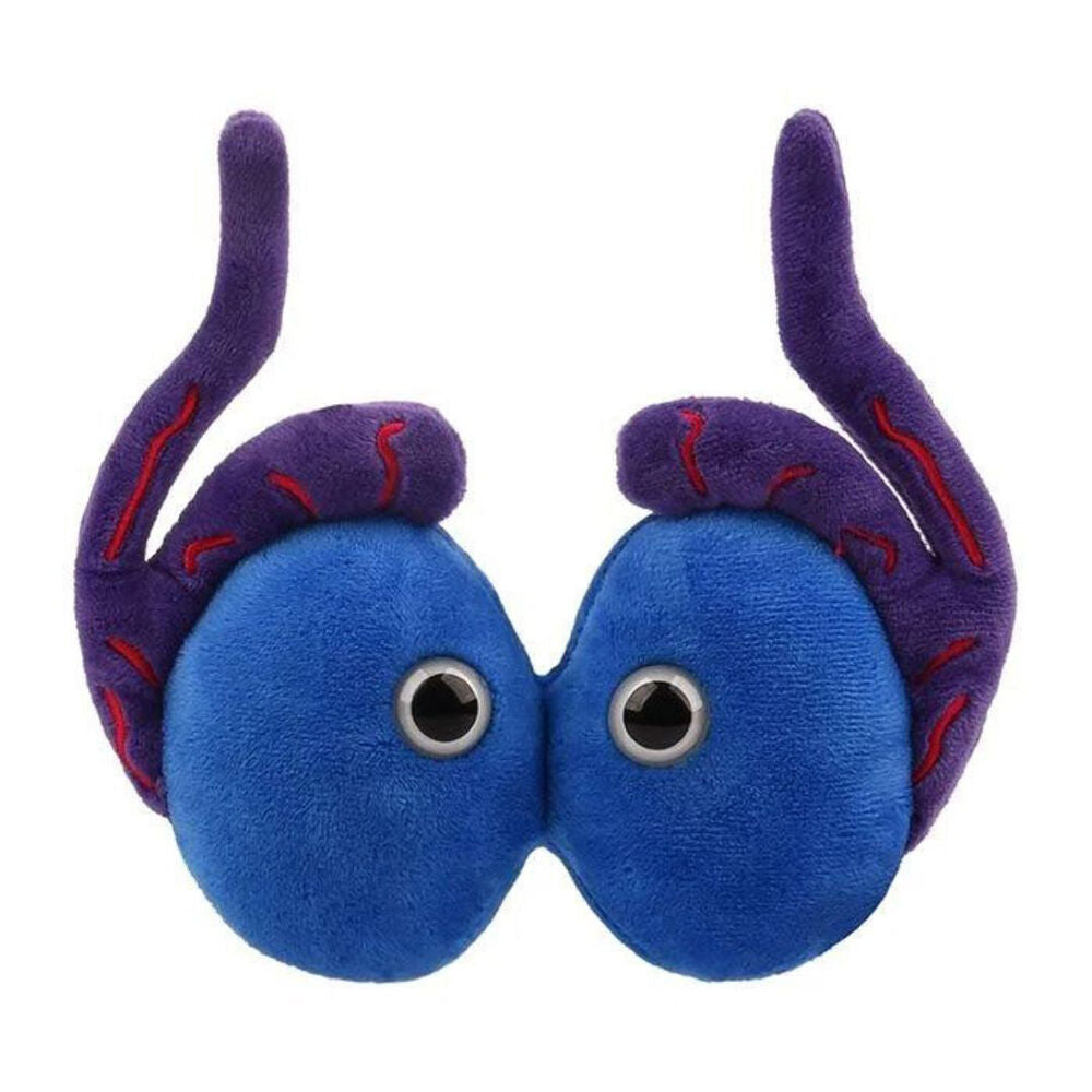 Giant Microbes Educational Stuffed Science Plush Toy Testicles Organ