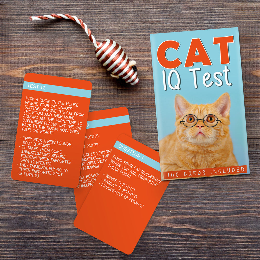 Gift Republic Cat IQ Test Pet Trivia Question Cards Set Challenge Deck (100 Pieces) — image 2
