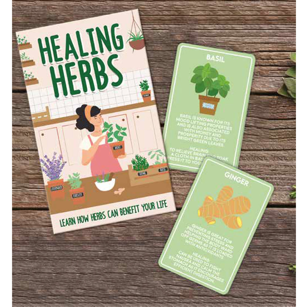 Gift Republic Healing Herbs Cards Learning/Educational Flashcards Set (100 Pieces)