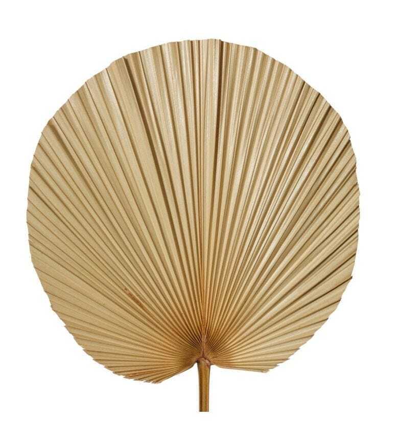 E Style Decorative 96cm Fan Palm Dried Stem Home Room Plant Decor Natural — image 2