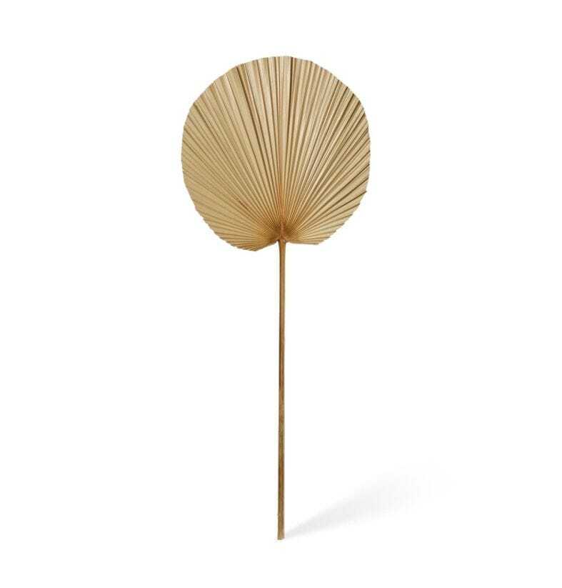 E Style Decorative 96cm Fan Palm Dried Stem Home Room Plant Decor Natural