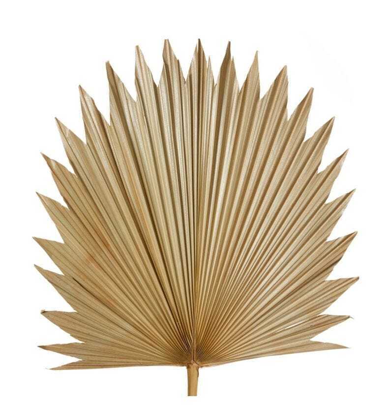 E Style Decorative 103cm Sun Fan Palm Dried Stem Home Room Decor Natural — image 2