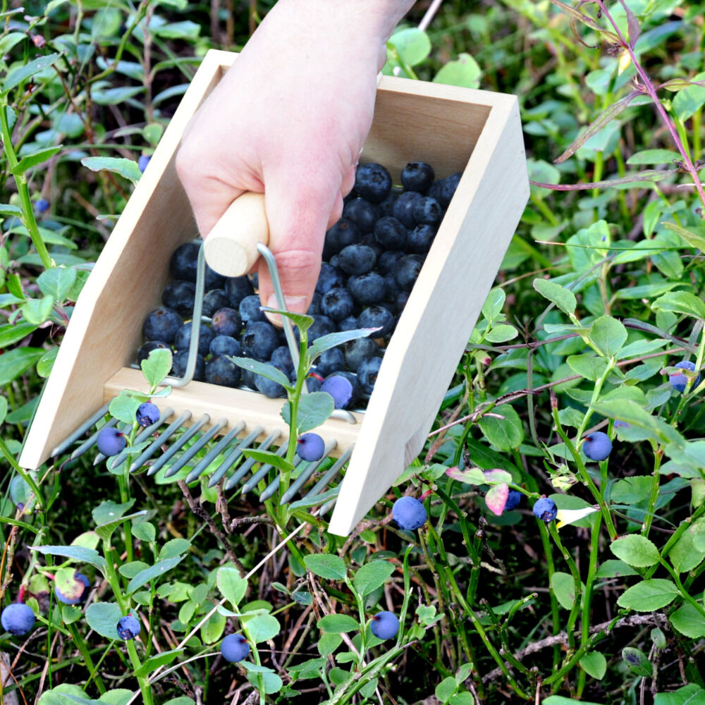 Esschert Design Berry Picker Wooden Garden Outdoor Accessory 22.3cm Natural — image 2