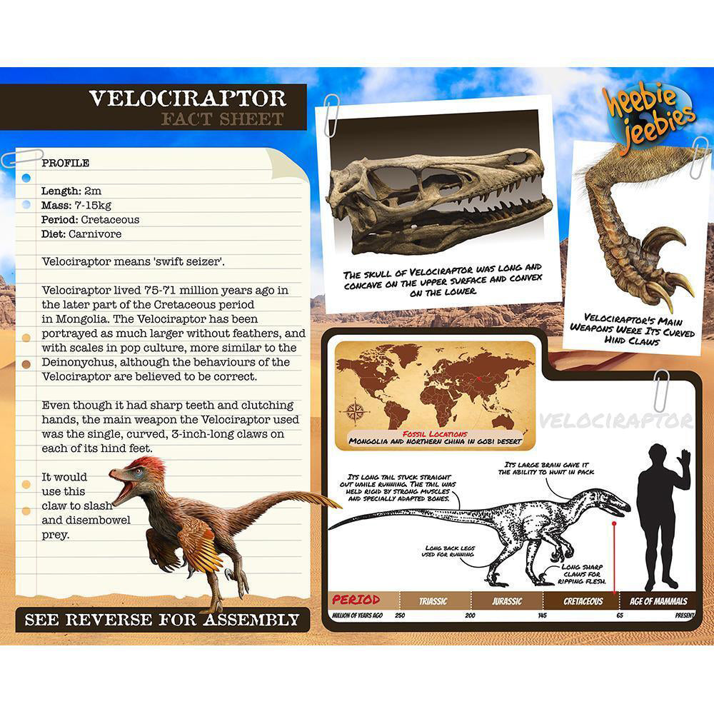 Heebie Jeebies Wood Velociraptor Kit Dino Kids Building Toy 32cm Small 6y+ (3 Pack)