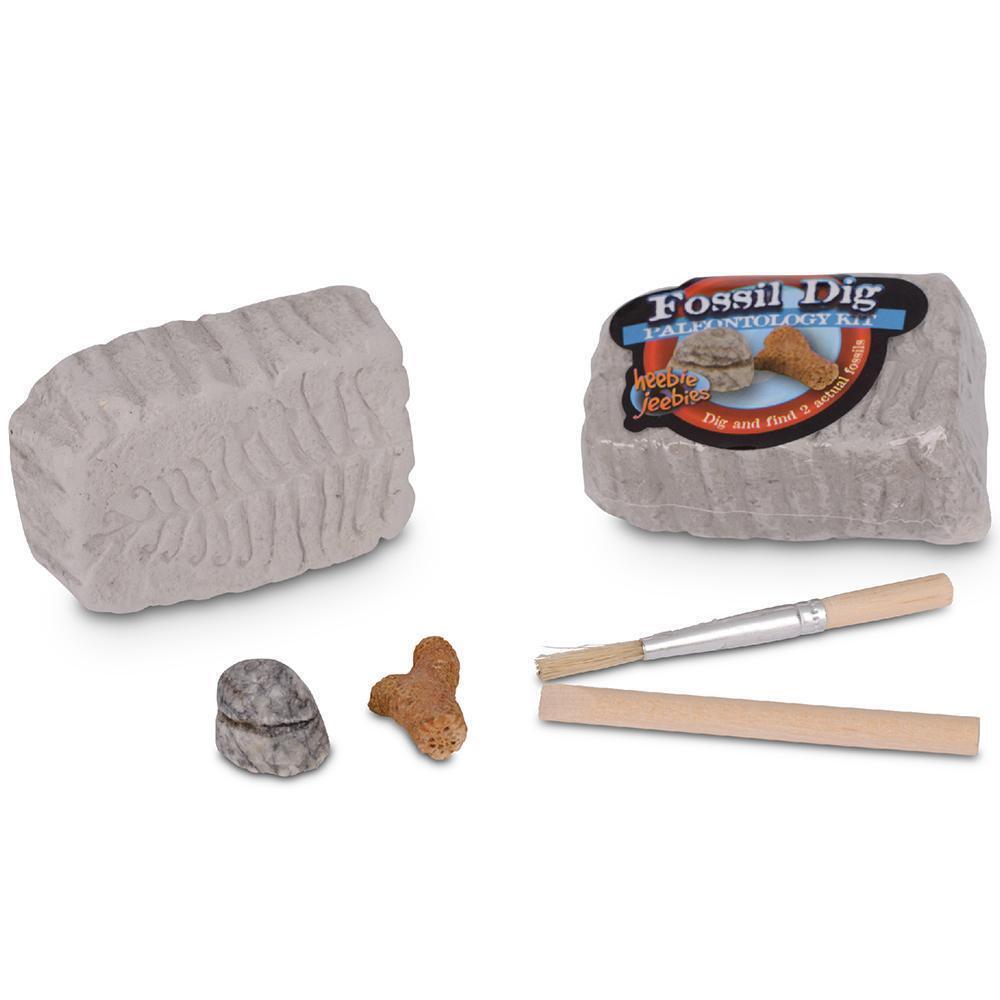 Heebie Jeebies Pocket Money Science Fossil Dig Mini Paleo Kit Kids Toy Assort (6 Pack) — image 3