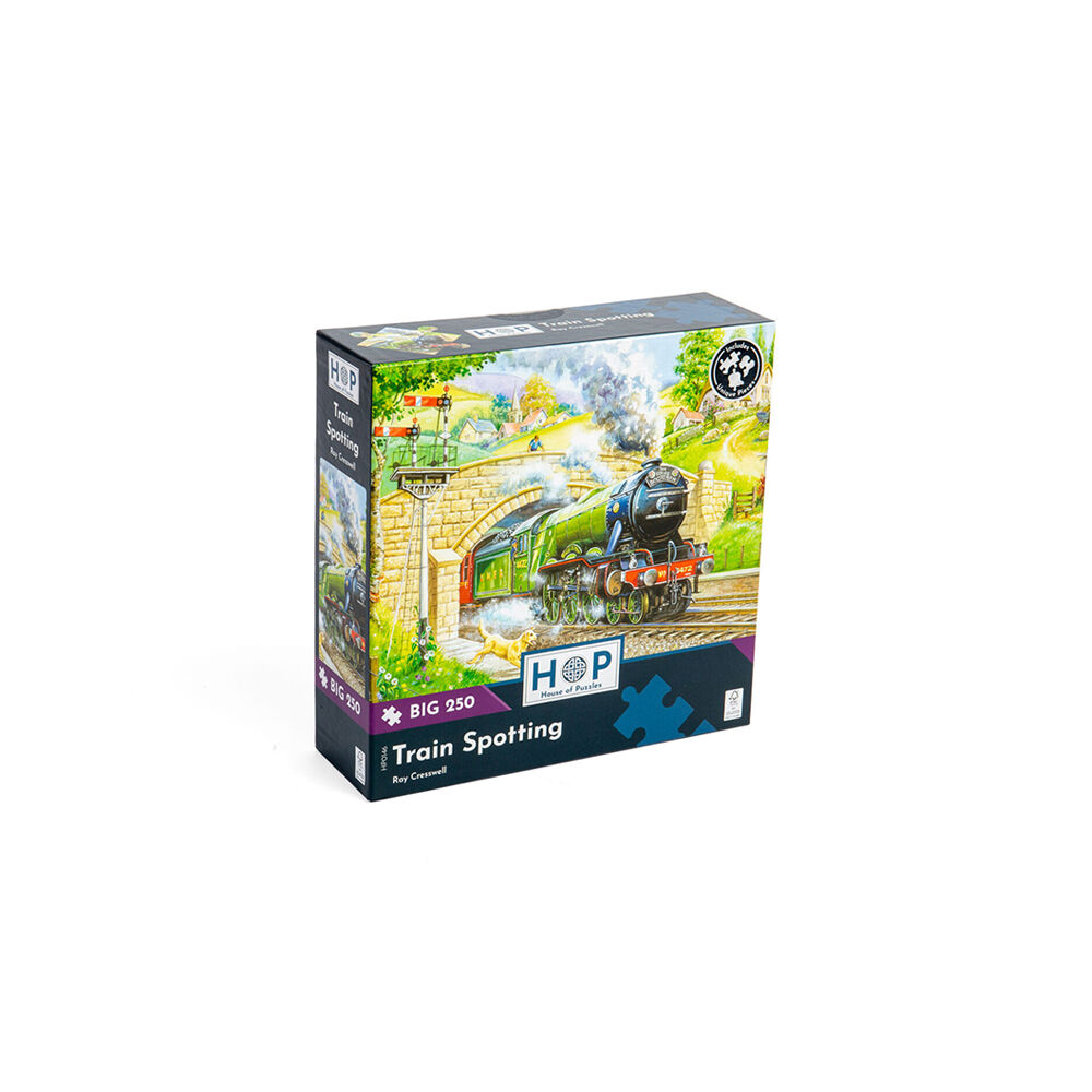 House of Puzzles Board Train Spotting Jigsaw Puzzles Toys 48x34cm 3y+ (250 Pieces)