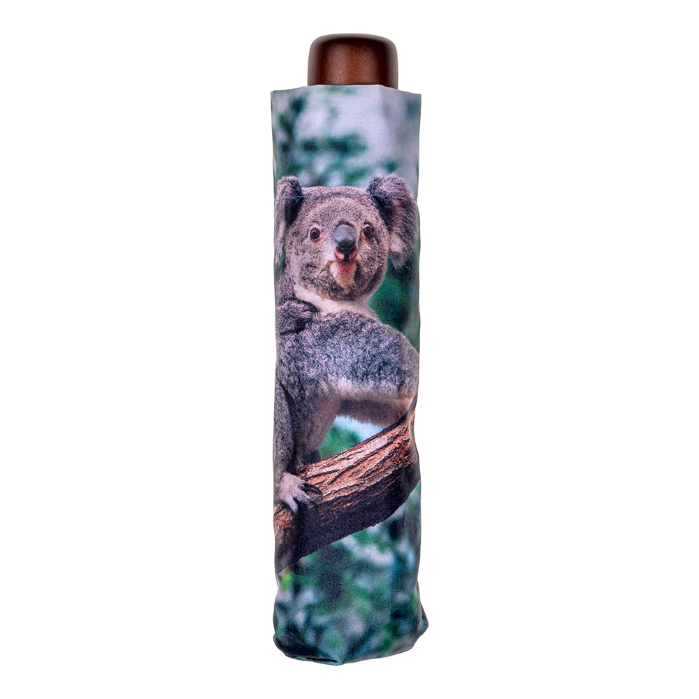 Clifton UPF50+ Koala Print Deluxe Mini Maxi w/ Dark Wood Handle Umbrella — image 4