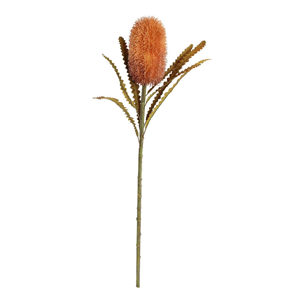 LVD Stemmed 60cm Banksia Amber Artificial/Fake Flower Home Decorative Faux Plant