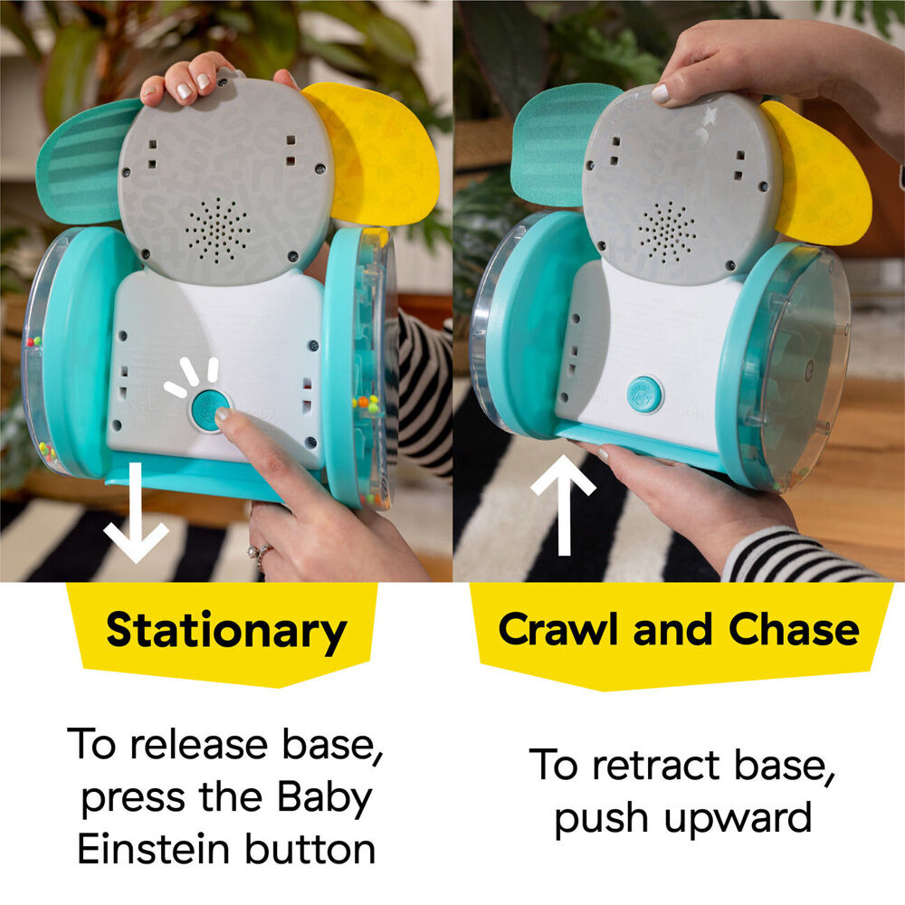 Baby Einstein 6m+ Chase & Tap Earl Interactive Crawling Toy w/Lights and Sounds — image 6